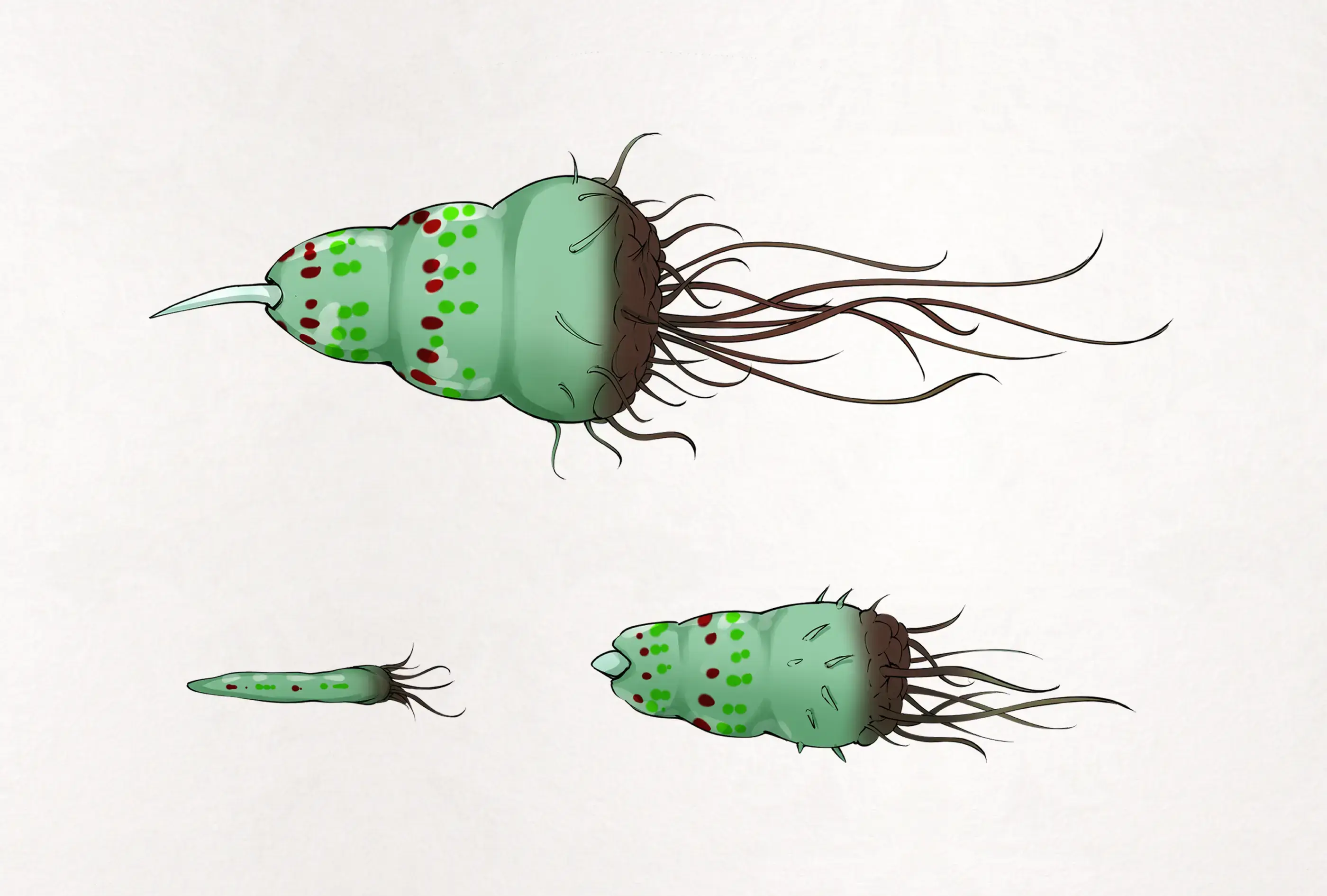 Insect Research Report